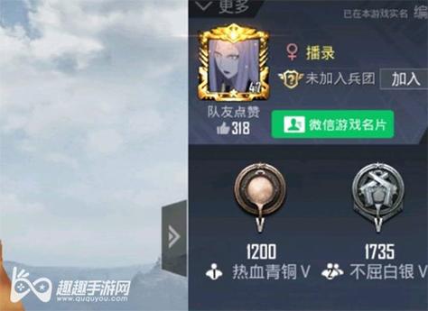 和平精英辅助【雪花直装V6.0】透视自瞄 人物加速 车辆加速 显示名字